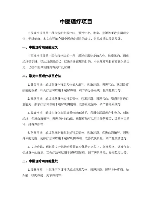 中医理疗项目
