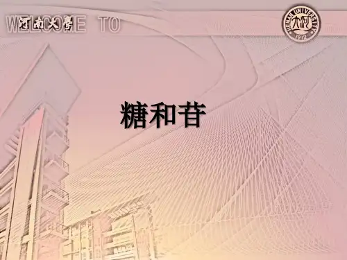 糖和苷类