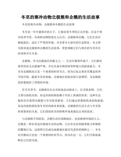 冬至的寒冷动物北极熊和企鹅的生活故事