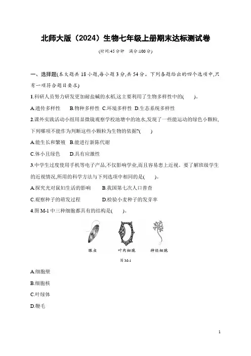 北师大版(2024)生物七年级上册期末达标测试卷(含答案)