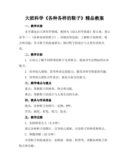 大班科学《各种各样的鞋子》精品教案