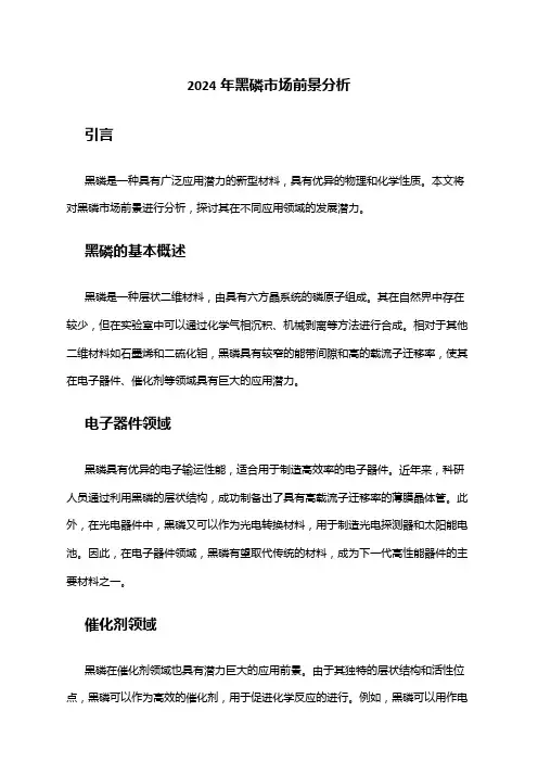 2024年黑磷市场前景分析