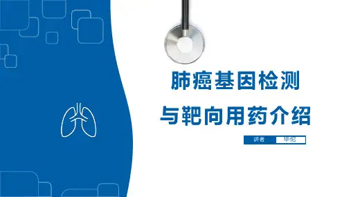肺癌基因检测与靶向用药介绍