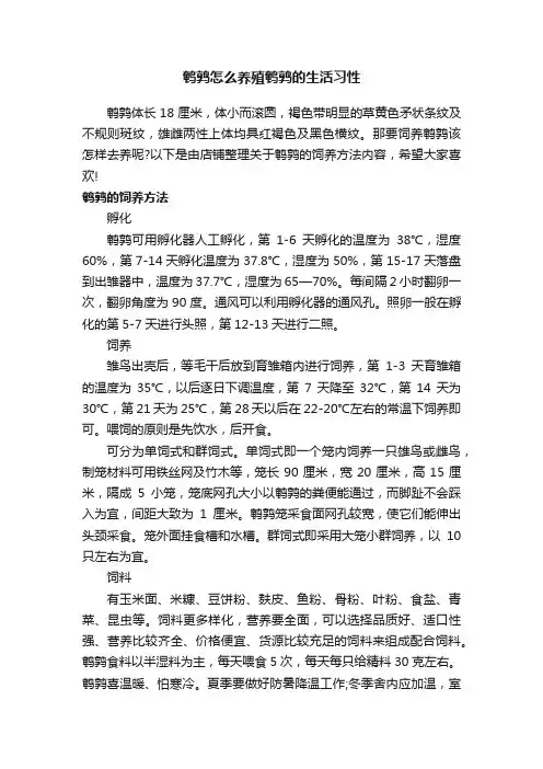 鹌鹑怎么养殖鹌鹑的生活习性