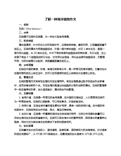 了解一种海洋植物作文