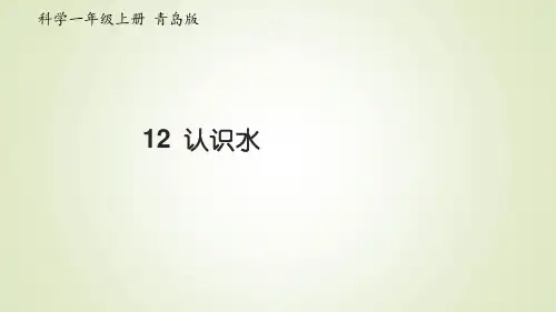 小学科学青岛版(六年制)一年级上册第12课《 认识水》课件