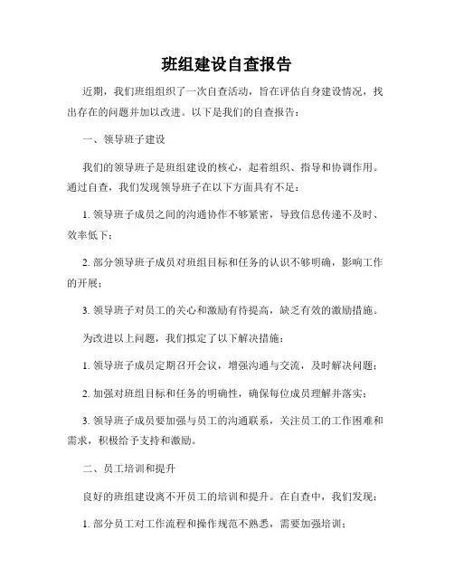 班组建设自查报告