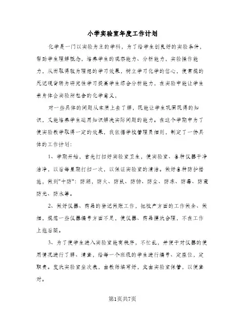 小学实验室年度工作计划(3篇)