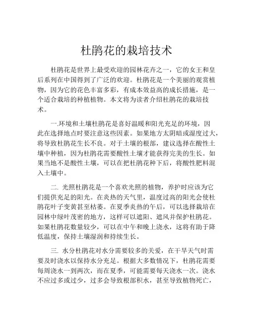 杜鹃花的栽培技术