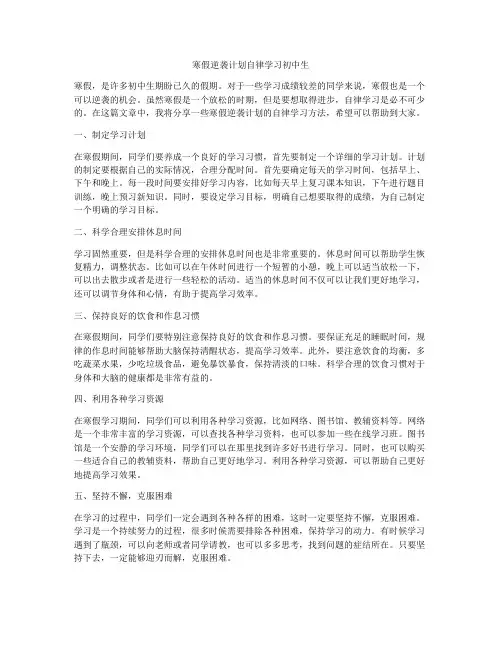 寒假逆袭计划自律学习初中生