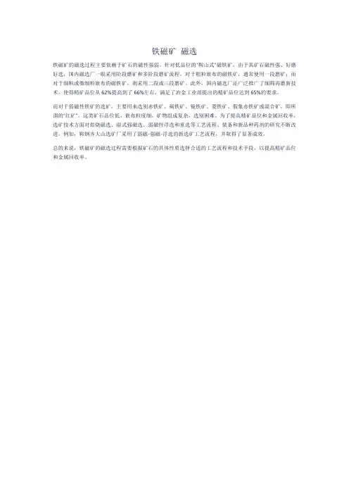 铁磁矿 磁选