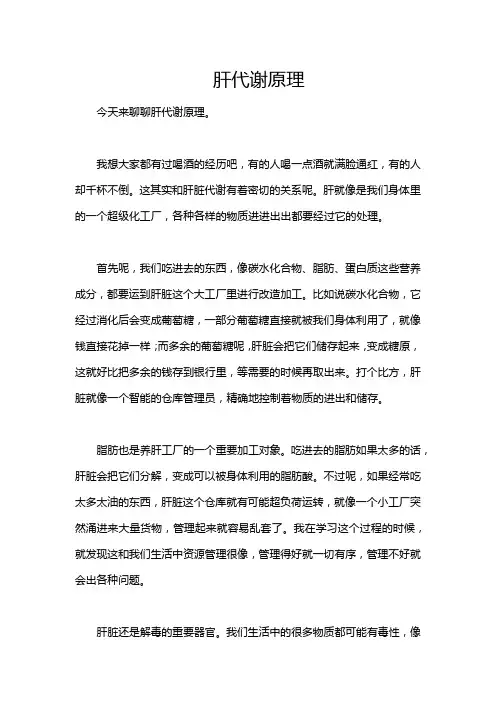 肝代谢原理