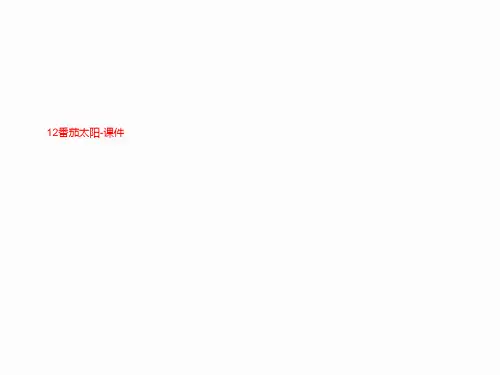 12番茄太阳-课件