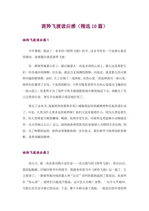 斑羚飞渡读后感(精选10篇)