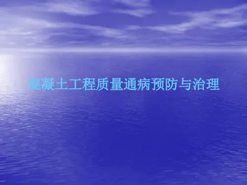 混凝土工程质量通病防治.ppt