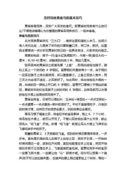 怎样饲养黄雀鸟的基本技巧