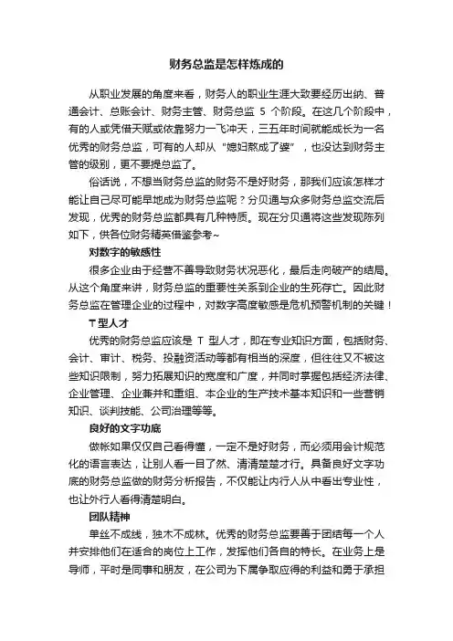 财务总监是怎样炼成的