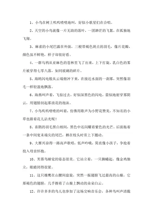 形容小鸟的比喻句精选