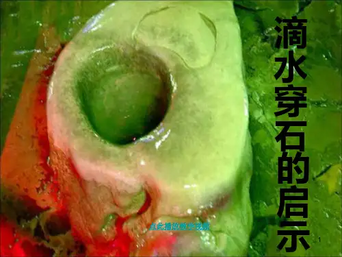 滴水穿石的启示ppt课件