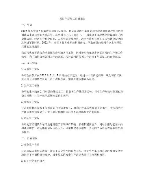 项目年后复工自查报告
