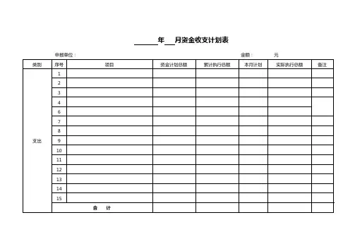 资金收支计划表