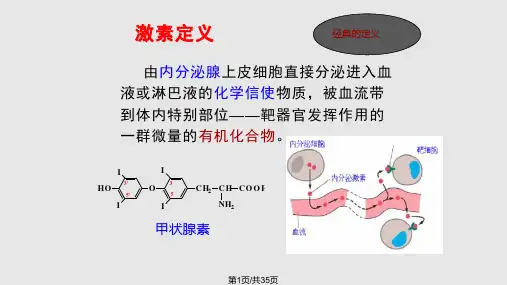 硫脲类抗甲状腺药PPT课件