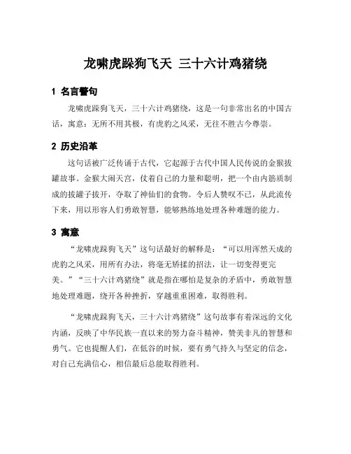 龙啸虎跺狗飞天 三十六计鸡猪绕