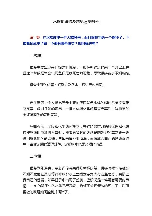 水族知识普及常见藻类剖析