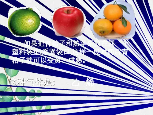 乙烯----烯烃