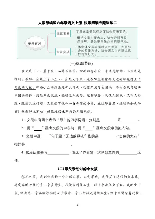 人教部编版六年级语文上册 快乐阅读专题训练二【含答案】