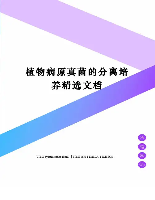 植物病原真菌的分离培养精选文档