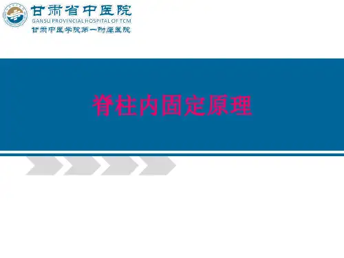 脊柱内固定原理及器械