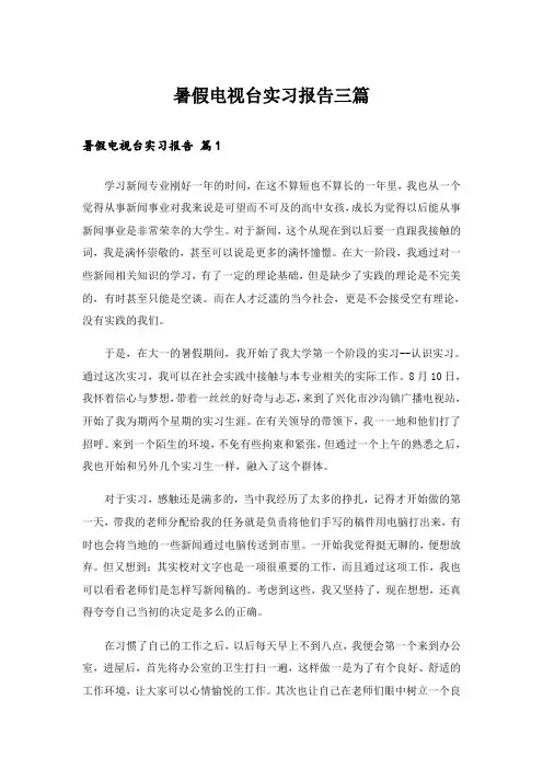 暑假电视台实习报告三篇_3