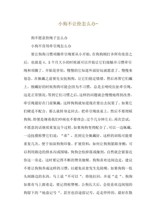 小狗不让拴怎么办--狗不愿意拴绳子怎么办