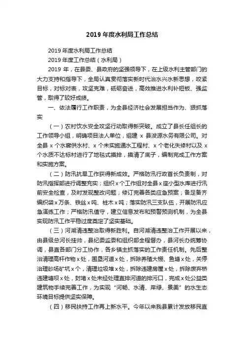 2019年度水利局工作总结