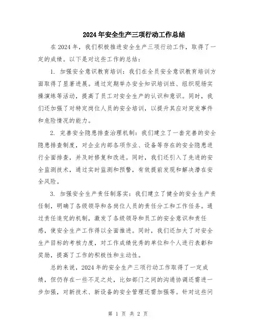 2024年安全生产三项行动工作总结