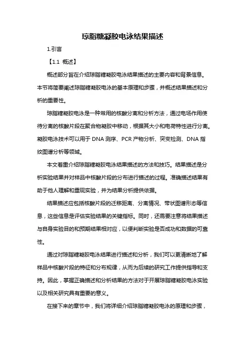 琼脂糖凝胶电泳结果描述
