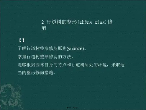 任务2-行道树整形修剪