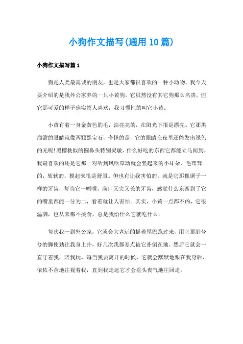 小狗作文描写(通用10篇)