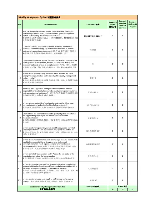byd供应商bsr审核表.xls