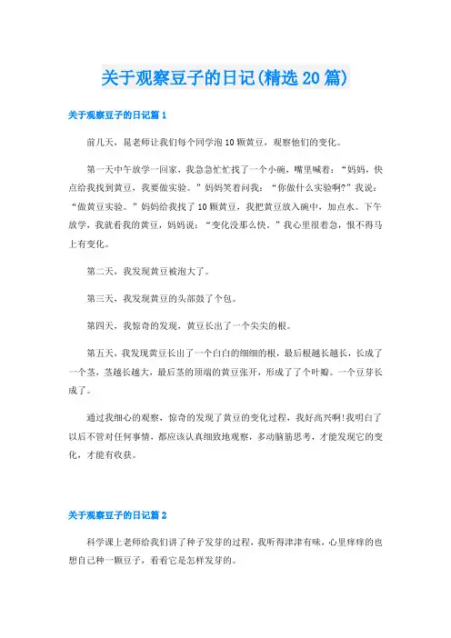 关于观察豆子的日记(精选20篇)