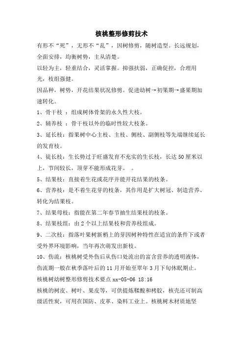 核桃整形修剪技术