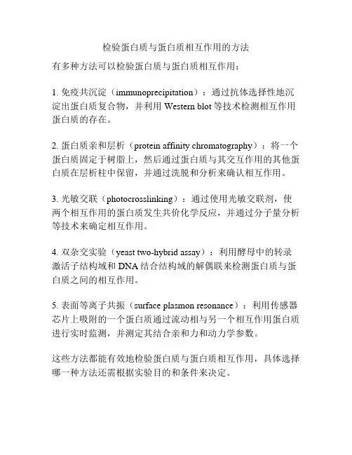 检验蛋白质与蛋白质相互作用的方法