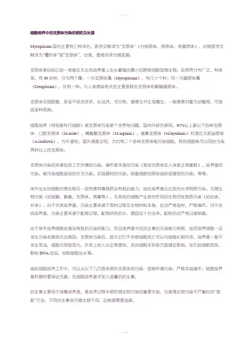 细胞培养中支原体污染