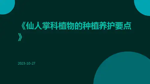仙人掌科植物的种植养护要点