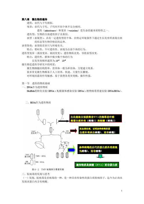 第八章