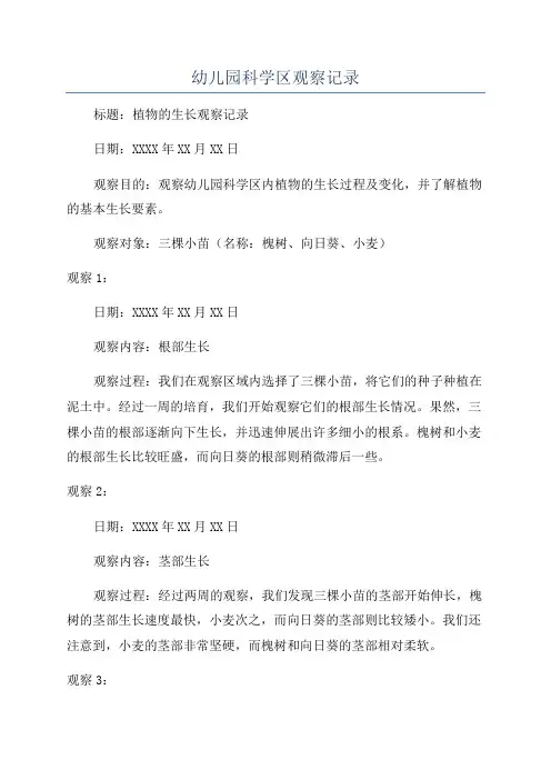 幼儿园科学区观察记录