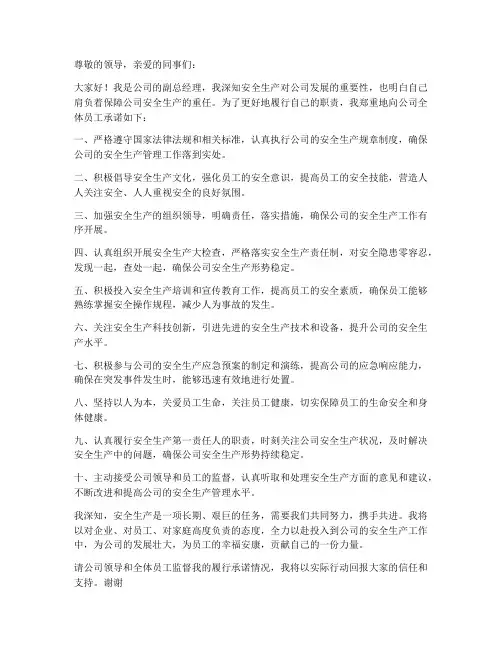 公司副总安全生产承诺书