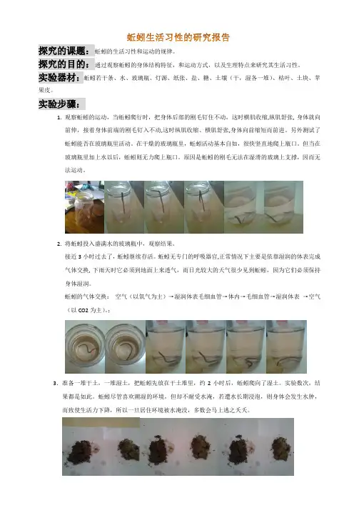 蚯蚓生活习性的研究报告