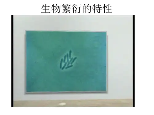 动物的繁殖活动 [恢复]